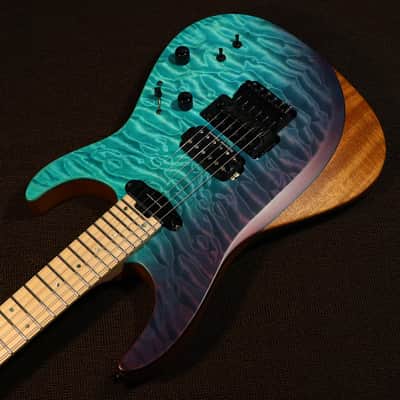 Fernandes 2019 MIJ / FR Sustainer II Limited / Blue Purple