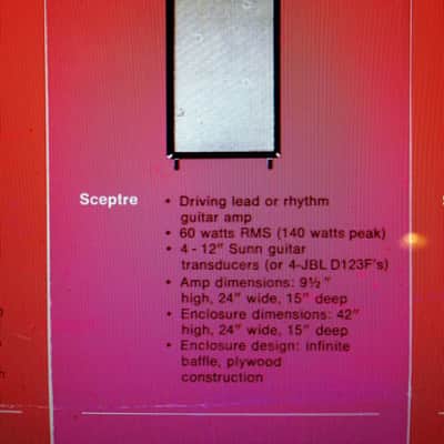 SUNN Sceptre 1969 Head + Matching Cab *PRICE DROPPED* image 14