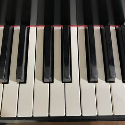 Steinway Model O Grand Piano 1906 - Ebony Satin image 19