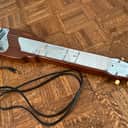 Fender Princeton Lap Steel Guitar