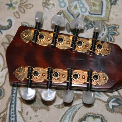 Marvel mandolin mahogany built in flamed wood resonator all in one must sell reduced price a lot image 9