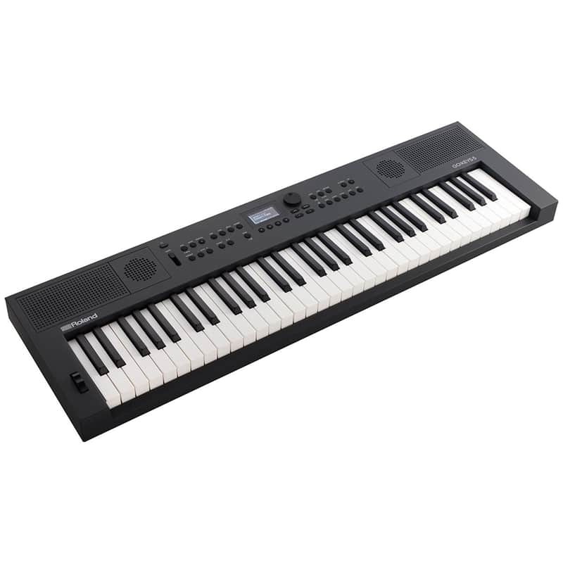 Roland GO:KEYS 5 61-Key Music Creation Keyboard | Reverb