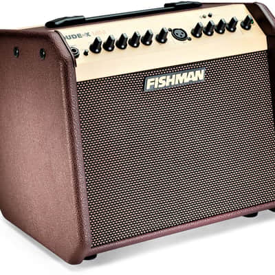 Fishman Loudbox Mini 60 Watts Acoustic Guitar Amplifier with Bluetooth image 1