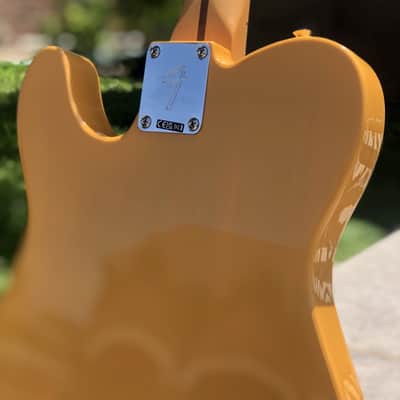 Fender Player II Telecaster w/case image 8