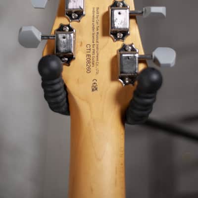 PRS J2R1J SE Silver Sky in Dragon Fruit Electric Guitar image 10