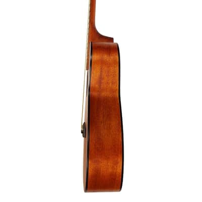 Berkeley Souvenir Acoustic Guitar image 2
