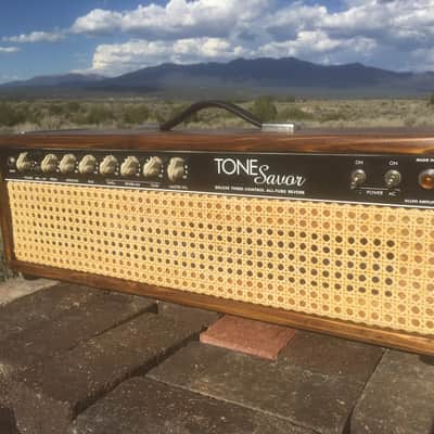 Allen Amplifictation -  Rare 80watt Blackface Twin Reverb Head- Tone Savor image 2