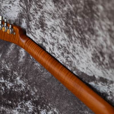 Immagine GB Liuteria Traditional Tele walnuts burl and resin - 19