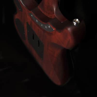 Washburn 6 String Solid-Body Electric Guitar, Padauk Vint. Matte (N24PSVINTAGEK-D) image 4