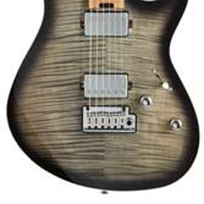Cort Masterful Craftsmanship: The Cort G290 FAT II with Roasted Maple Neck & Fretboard in Transparent Black Burst image 10
