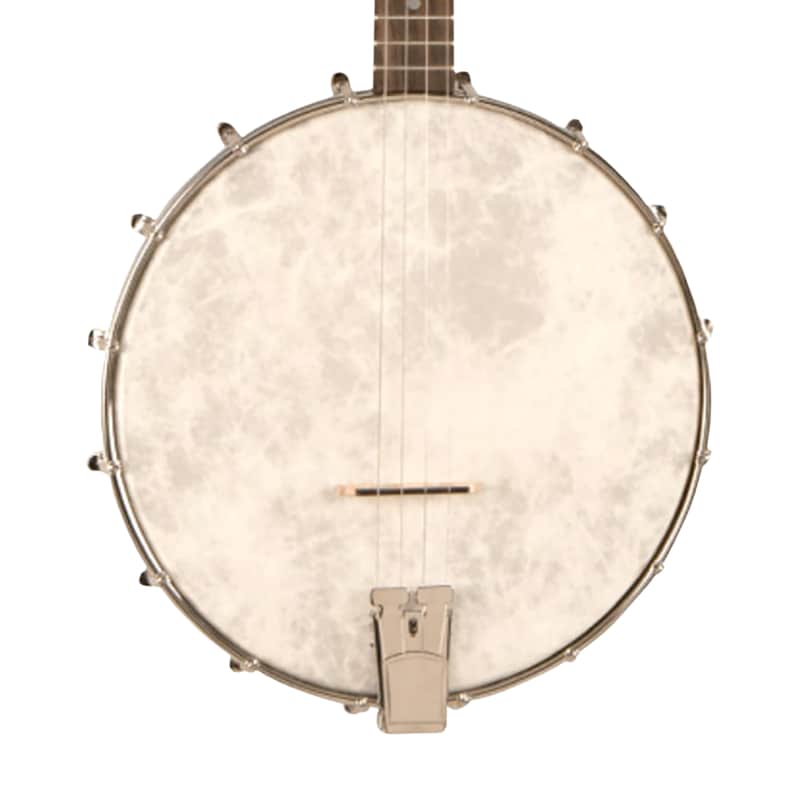 Recording King RKT-05 Dirty 30s Open Back Tenor Banjo image 1