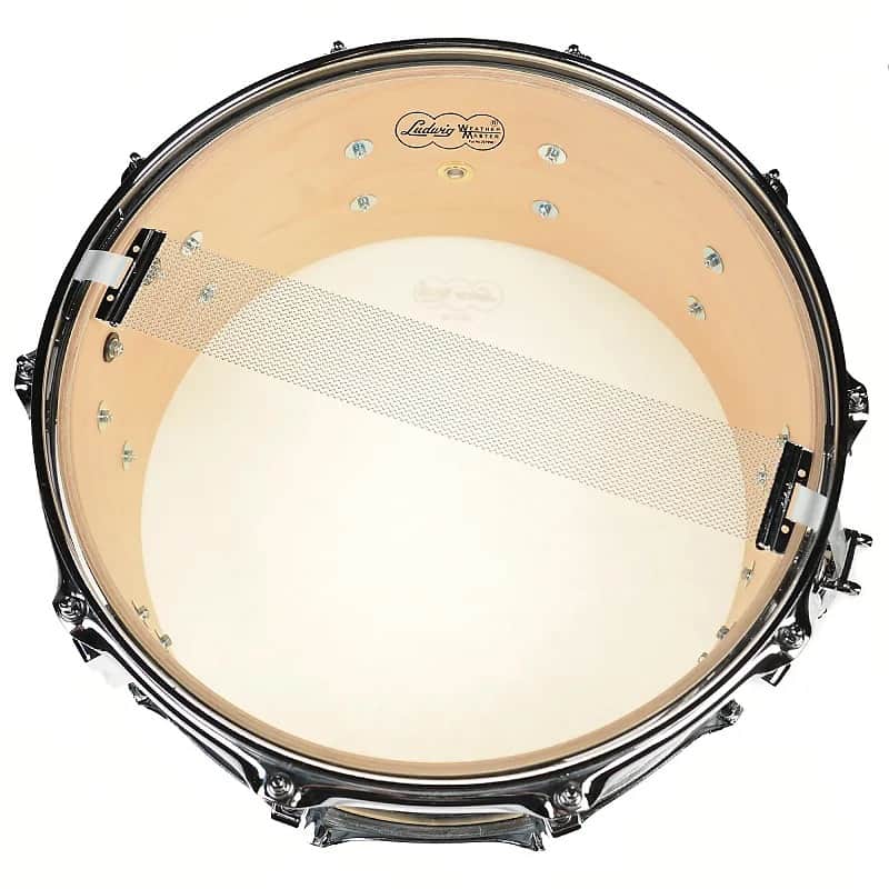 Ludwig LS403 Classic Maple 6.5x14" 10-Lug Snare Drum image 2