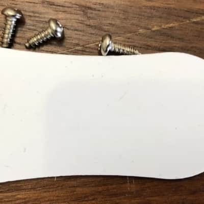 2024 Epiphone Les Paul Special II Electric Guitar Truss Rod Cover With Screws image 2