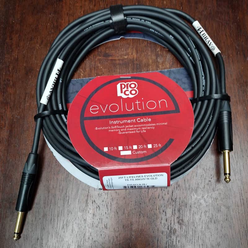 Cable Instrument 25-foot ProCo EVLGCN-25 STR-STR image 1