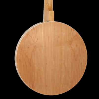 Tanglewood TWB 18 M4 4 String Banjo image 2