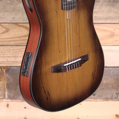 Ibanez FRH20SMN Nylon Acoustic/Electric Guitar Tobacco Burst image 2