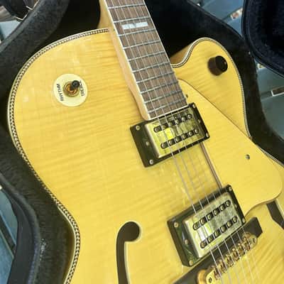 Devlin DVE 9 ~ Jazz Box ~ Hard Case image 6