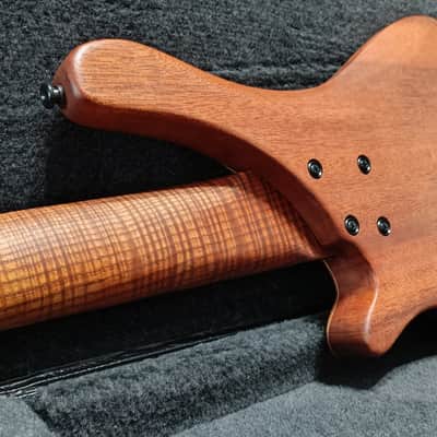 Corpus Buddy Bass 5 Strings - Lodato Guitars Handcrafted image 10