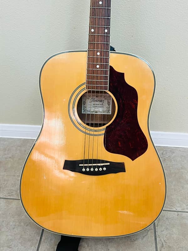 Ibanez SGT120 Sage Acoustic Guitar image 1
