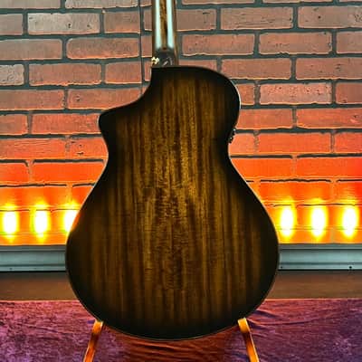 Breedlove Performer Pro Concert Thinline CE- Natural Aged Toner w/ Hard Case image 8