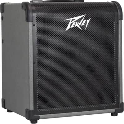 Peavey MAX 100 100-Watt Bass Amp Combo image 4