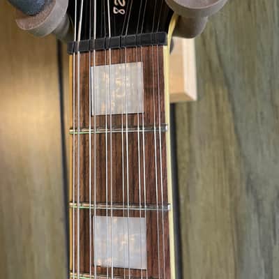 Agile AS820 12 String Semi-hollow Electric Guitar image 4