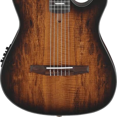 Ibanez FRH20SMN Thinline Acoustic-Electric Classical Guitar, Spalted Maple Top, Tobacco Burst image 1
