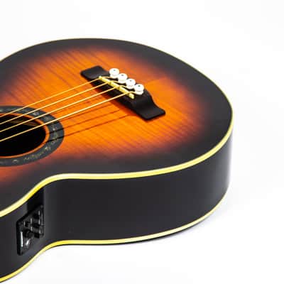 Fender T-Bucket Acoustic Bass E Owned by Matt Freeman Of Rancid image 16