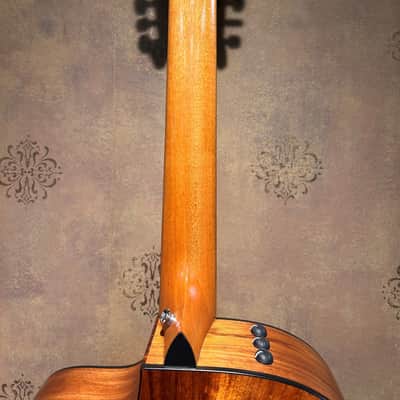2004 Fall Limited Taylor 355ce-L7 - 12-String, Tasmanian Blackwood, Claria image 16
