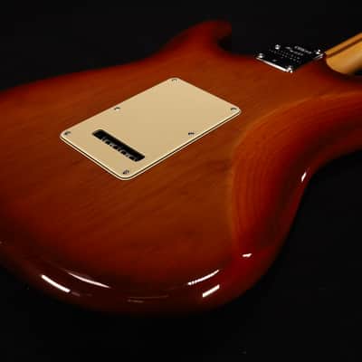 Fender American Professional II Stratocaster Maple Fingerboard Sienna Sunburst 203 image 7
