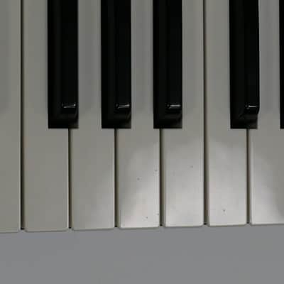 Dave Smith Instruments Mopho x4 image 18