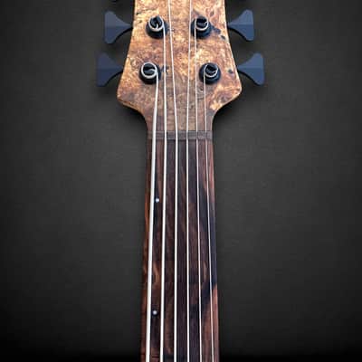 Elrick EVO Gold 5 String Spalted Maple Burl 2025 - Natural image 5