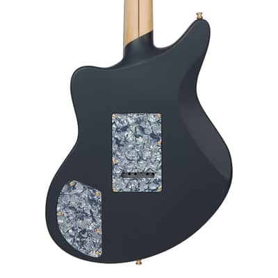 D'Angelico Deluxe Bob Weir Bedford Electric Guitar - Matte Stone - B-Stock image 7