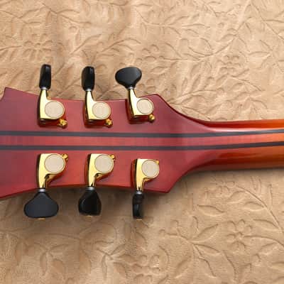 Left Handed Walsh 17" Archtop  Sienna Burst image 5