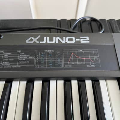 Roland Alpha Juno-2 61-Key Programmable Polyphonic Synthesizer 1985 - 1988 - Black image 5