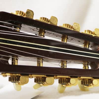 Infinity M-3 North African Mondol Acoustic Instrument Mandol Mandole image 4