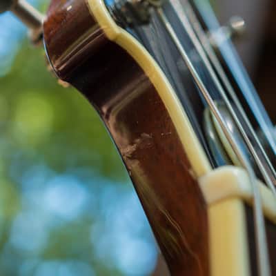 Scott Walker "Special" Guitar - 2011 - walnut & mahogany image 18