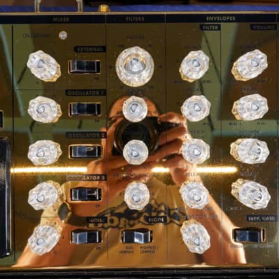 Moog Minimoog Voyager 10th Anniversary Gold Edition 44-Key Monophonic Synthesizer 2012 image 4