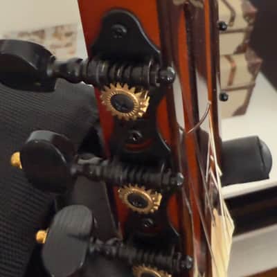 Ortega TourPlayer Series Nylon String Acoustic-Electric Guitar - RTPDLX-FMA-L, Left-handed, Flamed Mapled Blue image 20