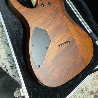 2023 Ibanez Gio GRG121DX Walnut - Figured Body image 12