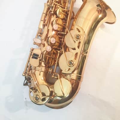 Musikwerks-Gold Lacquer Alto Saxophone-Intermediate Level-New-w/Shop Warranty! image 2