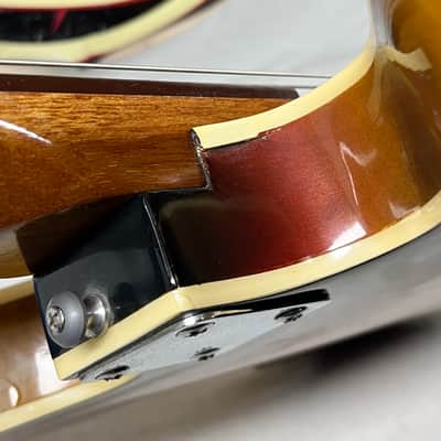 Winston? Semi-Hollow Body Electric Guitar image 22