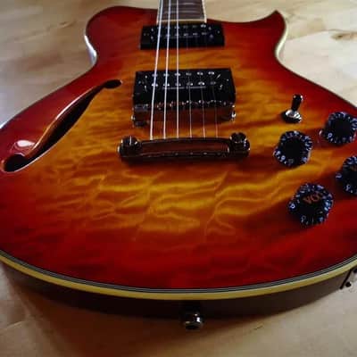 Washburn WI67-PRO image 2