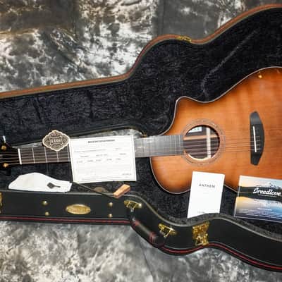 Breedlove Premier Concert Limited 2025 - Shadowburst image 10