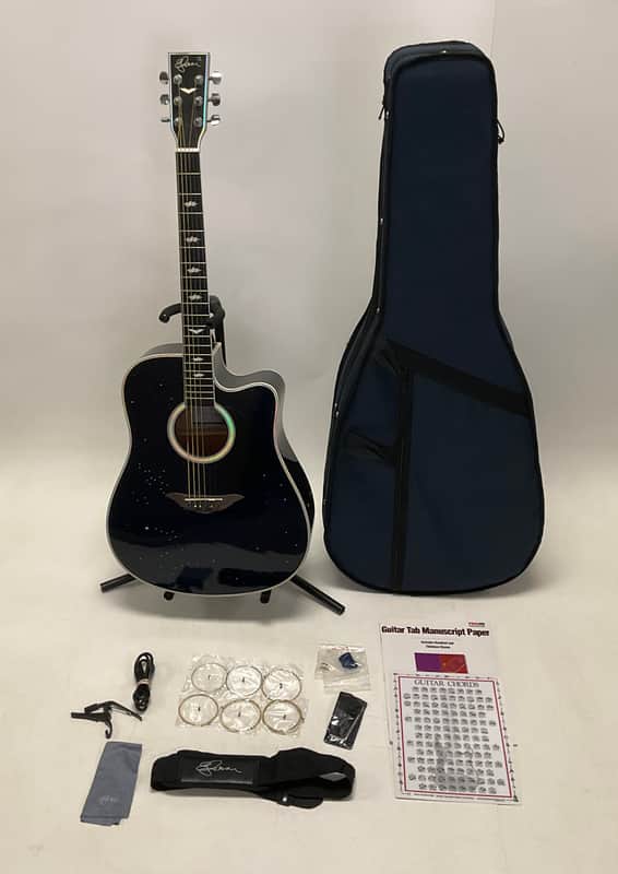 2008 Esteban Celestial Night Limited Edition Acoustic/Electric Guitar image 1