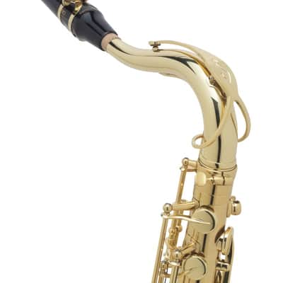 Selmer Paris 54 Axos Professional Tenor Saxophone image 4