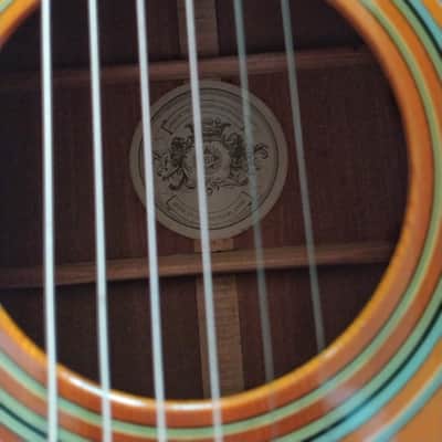 Vega V446 Dreadnought Mid-70's - Tobacco Sunburst image 3