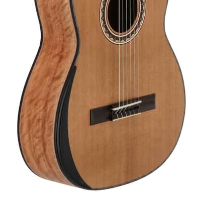 Manuel Rodriguez Tesoro de Camerún Limited Edition Solid Cedar Top & Cedar Neck 6-String Classical Acoustic Guitar w/Hard Case & Footrest image 7