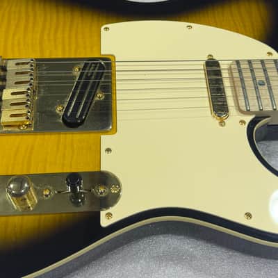 Richie Kotzen Fender Telecaster image 7
