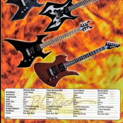 BC Rich  Warlock Bronze Series  2004 - Black with White Tribal Flames image 2